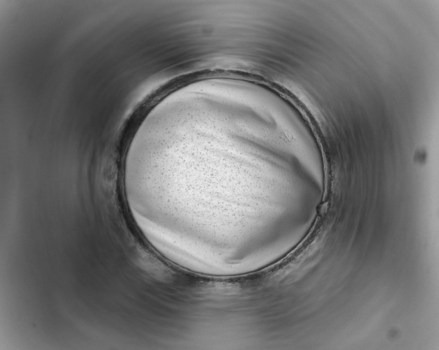 X0000102351115200808151744