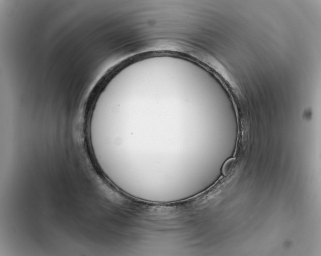 X0000102351116200808151744