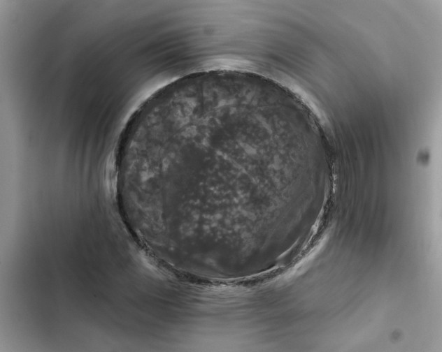 X0000102351117200808151744