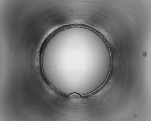 X0000102351118200808151744