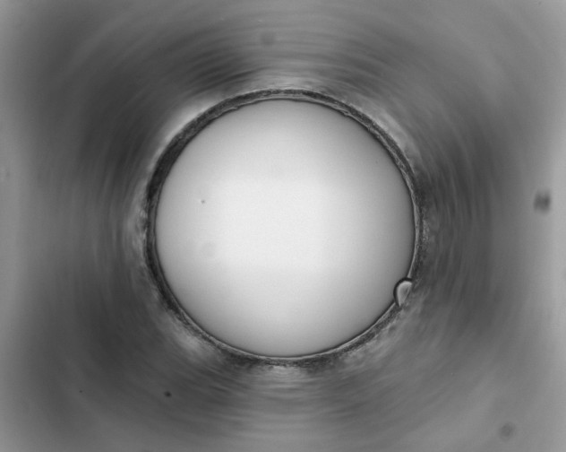 X0000102351119200808151744