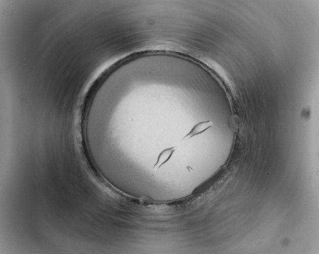 X0000102351120200808151744