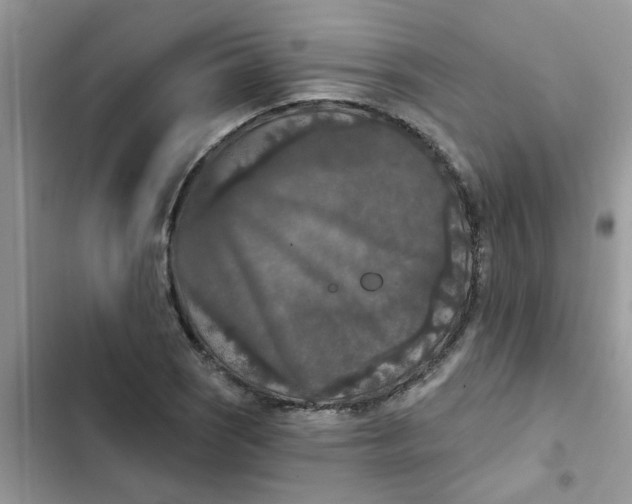 X0000102351121200808151744