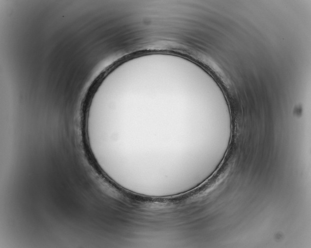 X0000102351122200808151744