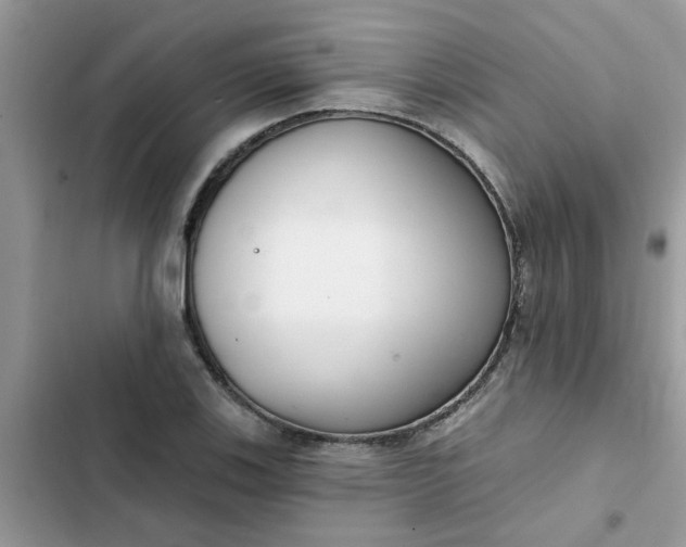 X0000102351123200808151744