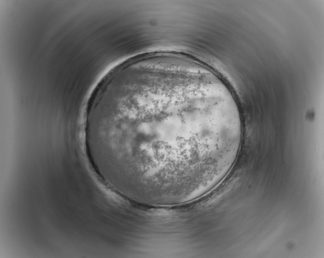 X0000102351124200808151744