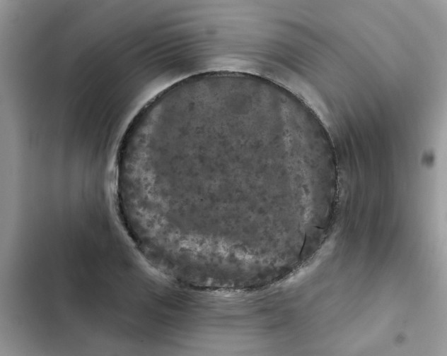 X0000102351125200808151744