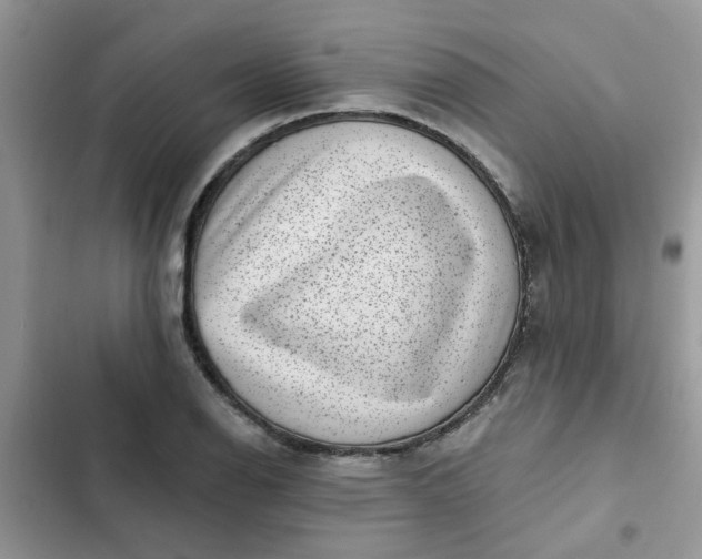 X0000102351126200808151744