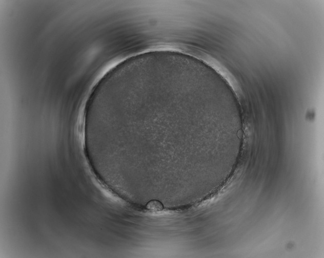 X0000102351127200808151744