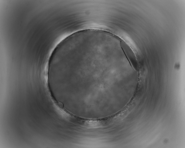 X0000102351128200808151744