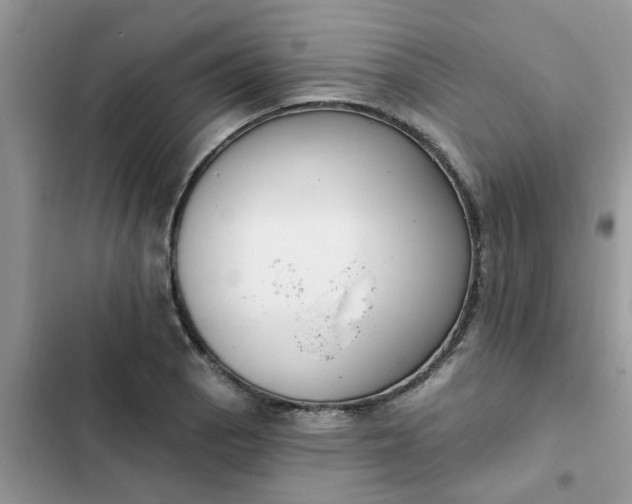 X0000102351129200808151744