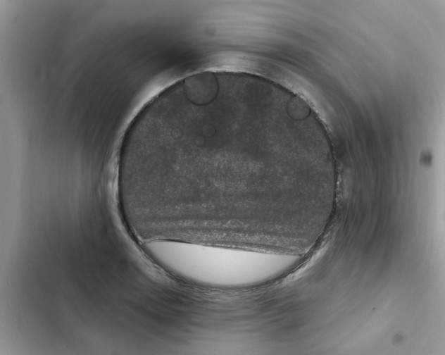 X0000102351130200808151744