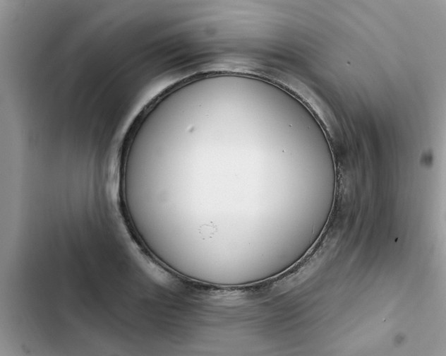 X0000102351131200808151744