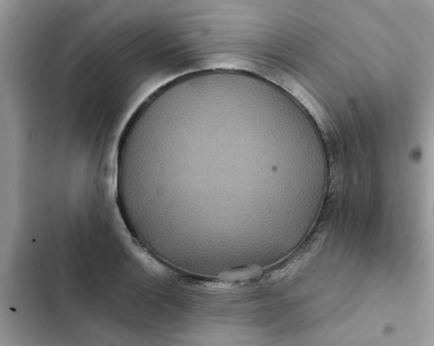 X0000102351132200808151744