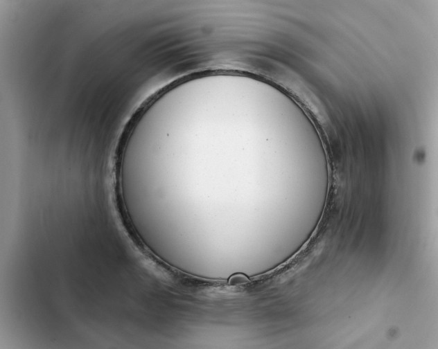 X0000102351133200808151744