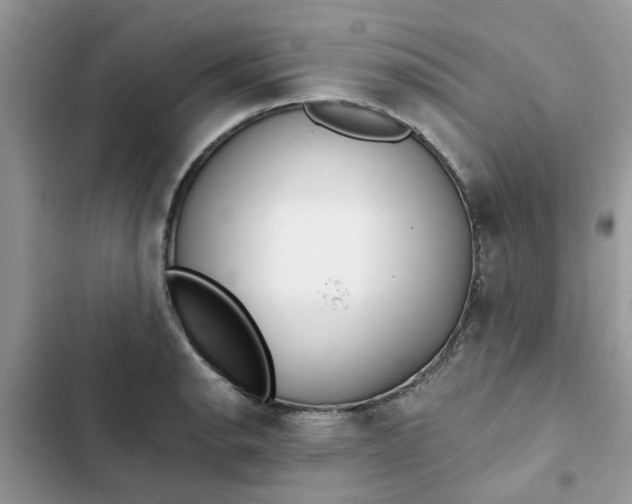 X0000102351134200808151744