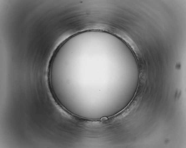 X0000102351135200808151744