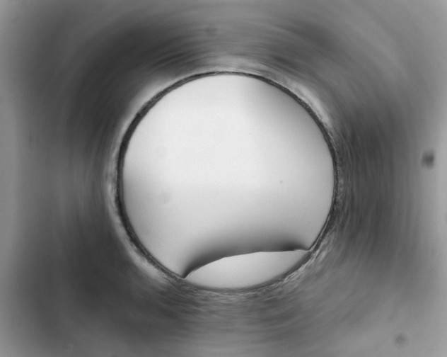 X0000102351136200808151744