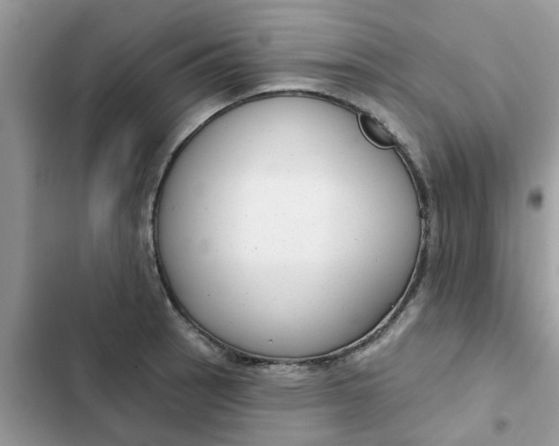 X0000102351137200808151744