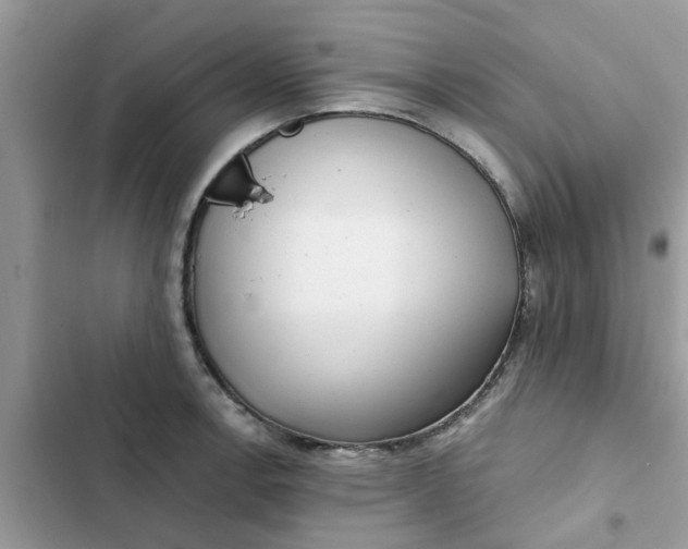 X0000102351138200808151744