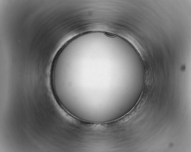 X0000102351139200808151744