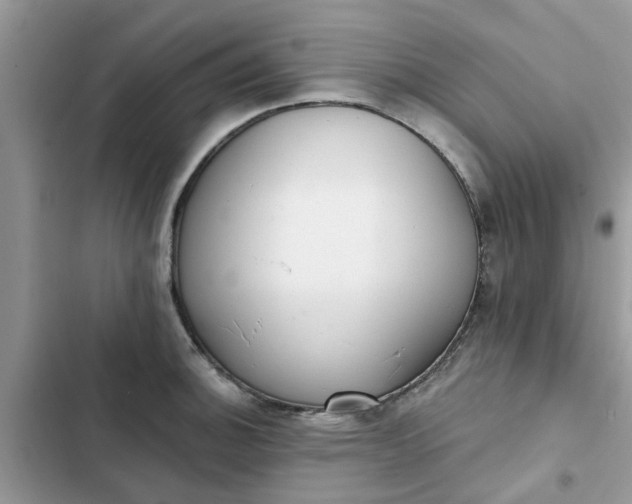 X0000102351140200808151744