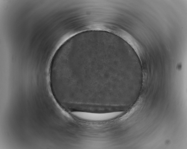 X0000102351141200808151744