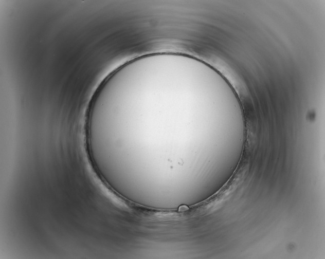 X0000102351142200808151744