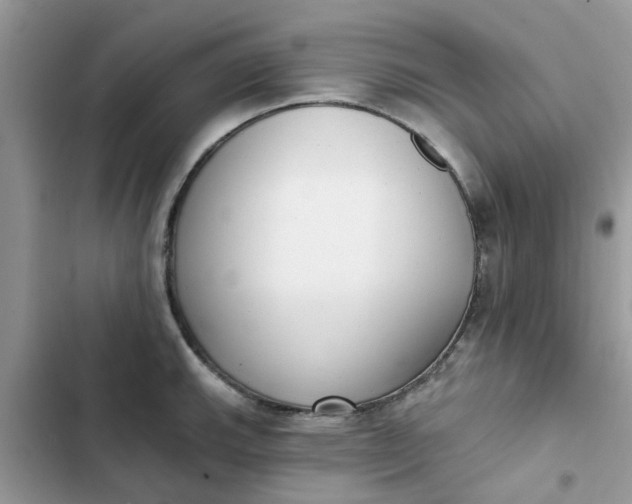 X0000102351143200808151744