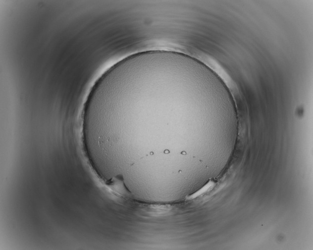 X0000102351144200808151744