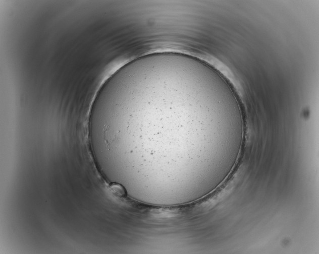 X0000102351145200808151744