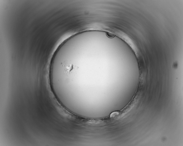 X0000102351146200808151744