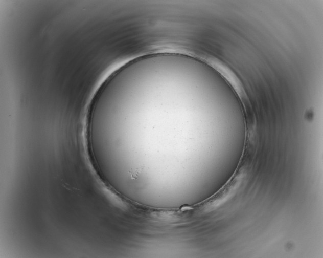 X0000102351149200808151744