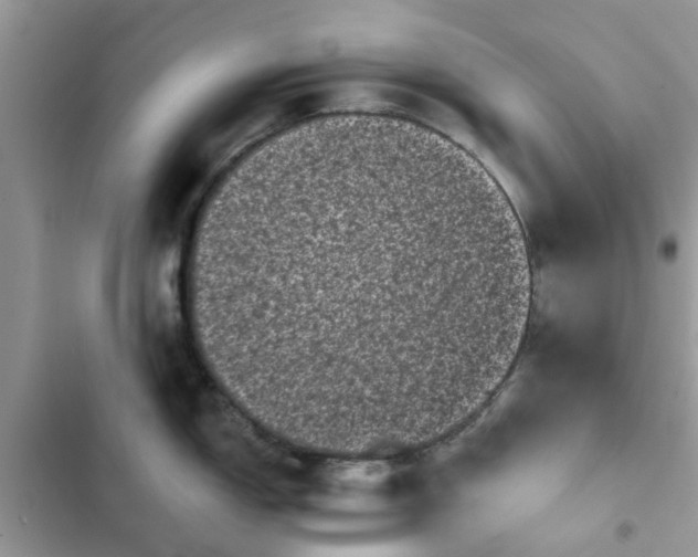 X0000102351150200808151744