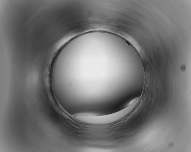 X0000102351151200808151744