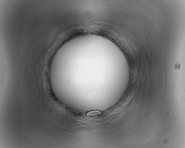 X0000102351153200808151744