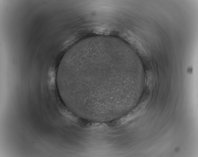 X0000102351154200808151744