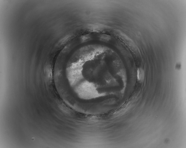 X0000102351155200808151744