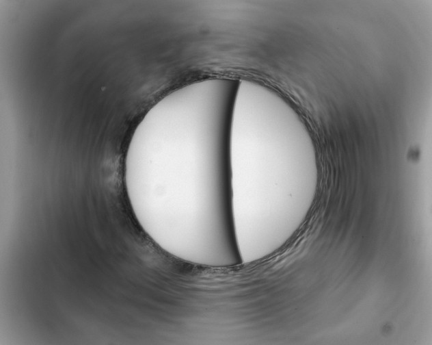 X0000102351156200808151744