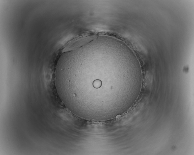 X0000102351157200808151744