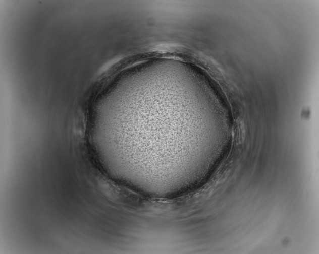 X0000102351158200808151744