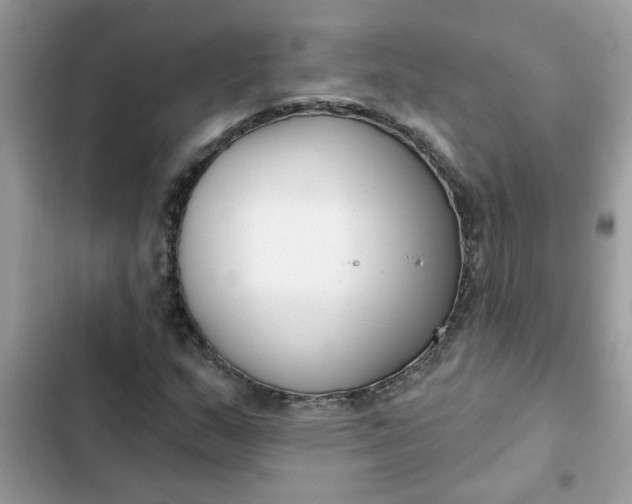 X0000102351159200808151744