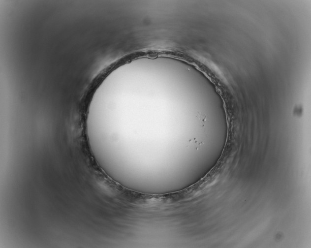 X0000102351160200808151744