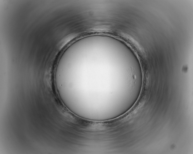 X0000102351162200808151744