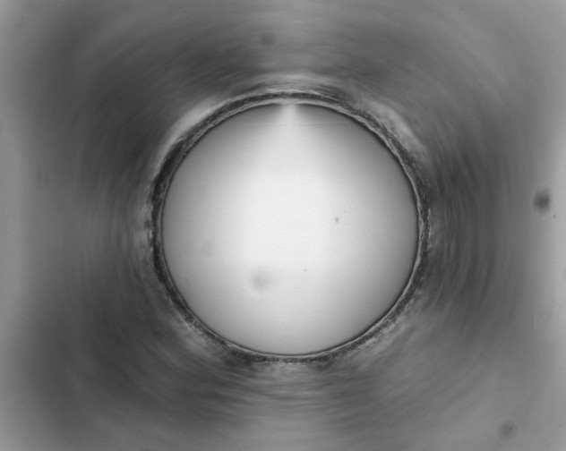 X0000102351164200808151744