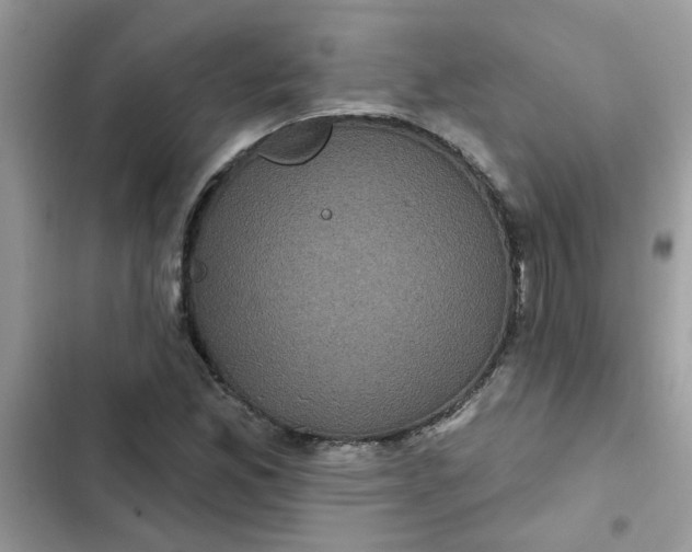 X0000102351165200808151744