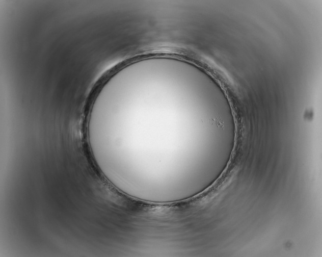 X0000102351166200808151744