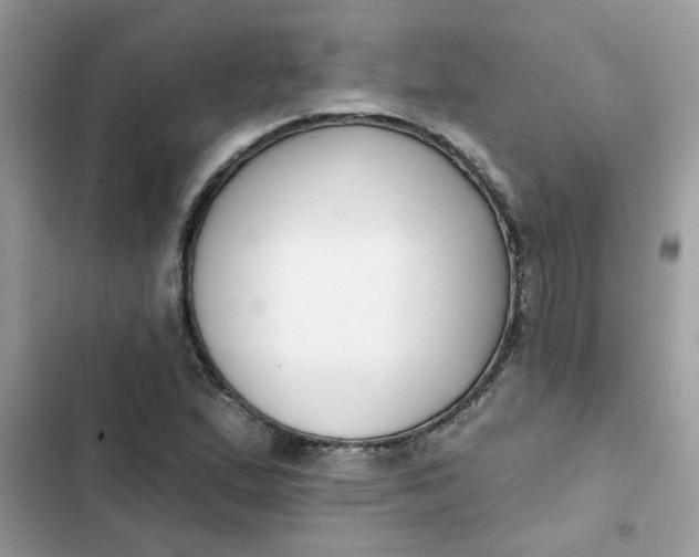 X0000102351167200808151743