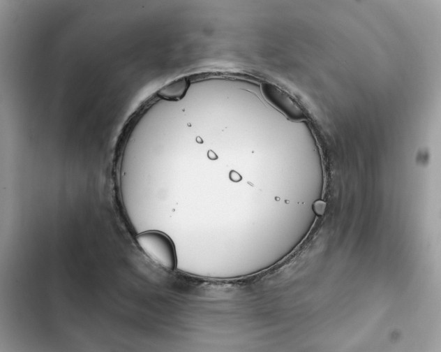 X0000102351168200808151743