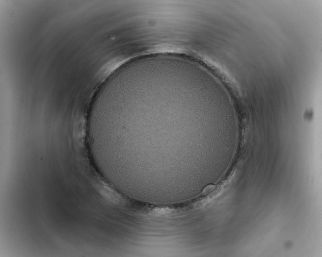 X0000102351169200808151743